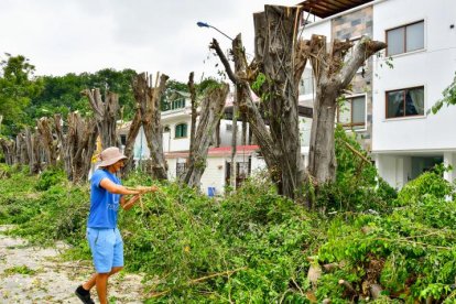 Poda ilegal en Las Garzas podría costar hasta 50 salarios básicos.