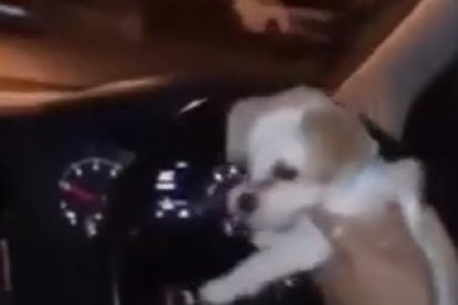 Captura de pantalla del polémico video que metió en problemas a Madelene Wright.