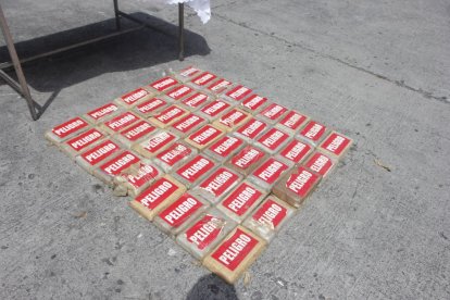 La droga incautada en el operativo.