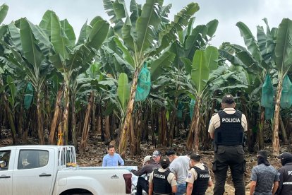 Los cuerpos tenían impactos de bala en la cabeza y habrían sido asesinados en el mismo lugar.