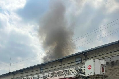 Incendio se registró en la vía a Daule.
