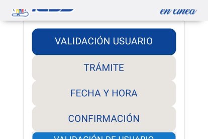 Así luce la página web al momento de solicitar un turno en línea.