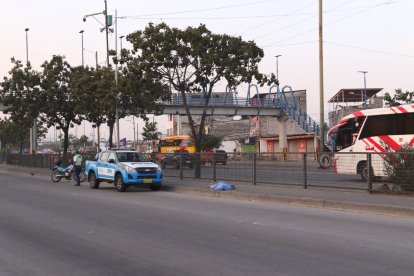 La avenida tiene rejas para evitar el cruce imprudente de ciudadanos.