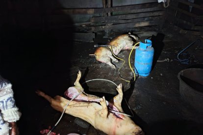 La actividad se realizaba en condiciones insalubres.