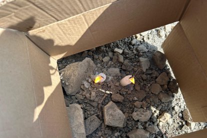 En el sitio del crimen colocaron un pequeño homenaje.