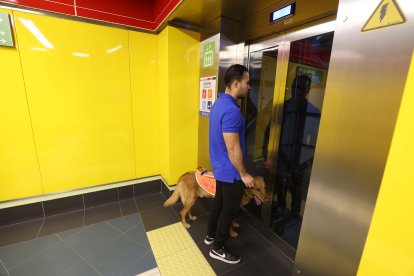 El metro de Quito es, hasta ahora, el único sistema amigable para personas con discapacidad.