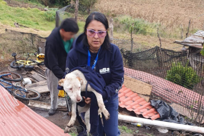 El perrito fue encontrado en condiciones de desnutrición.