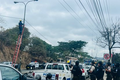 El operativo se desarrolló en varios sector del distrito Nueva Prosperina.