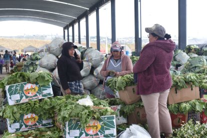 Las transacciones se realizan directamente con los agricultores.