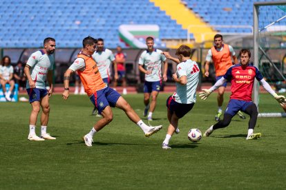 España tiene disponibles a sus principales figuras.