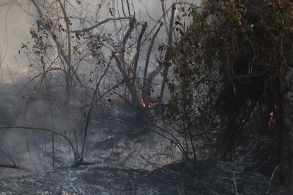 Los bomberos tardaron dos horas en liquidar el flagelo.