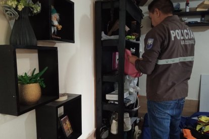 Se allanaron cinco viviendas.