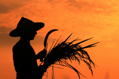 El sector agropecuario es el más beneficiado por el bono Raíces.