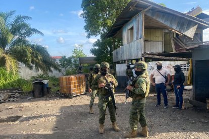 Las capturas se realizaron durante un allanamiento.