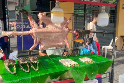 Carne de cocodrilo: el secreto natural para piel joven y longevidad sin cirugías.