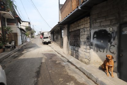 Habitantes del bloque 10 temían salir de sus casas por miedo a que ocurriera un hecho  similar.