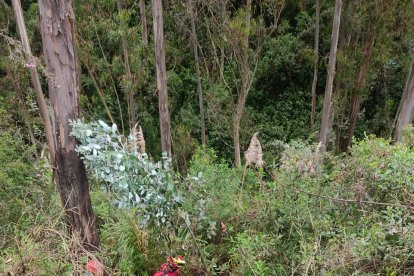 El cuerpo de la víctima fue hallado en este bosque de San José Chico, en Pedro Moncayo.