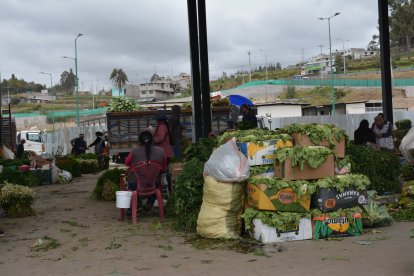 Los dirigentes de los pueblos indígenas en Tungurahua aseguraron que no habrá movilización este lunes de feria en Ambato, garantizando libre movilidad.