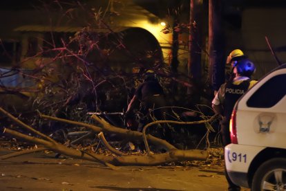 El árbol debió ser removido de la vía pocos minutos después del levantamiento del cuerpo.