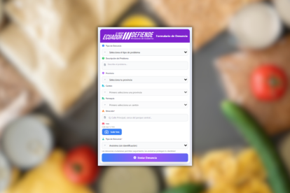Plataforma para denuncias, del Ministerio de Gobierno.