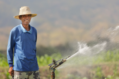 El Gobierno lanzó el Bono Raíces este 2025.