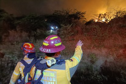 Bomberos de Guayaquil combatieron el incendio forestal en cerro Colorado.