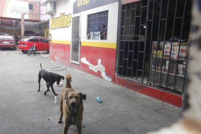 En el lugar donde cayó muerto el dueño del negocio prendieron velas.