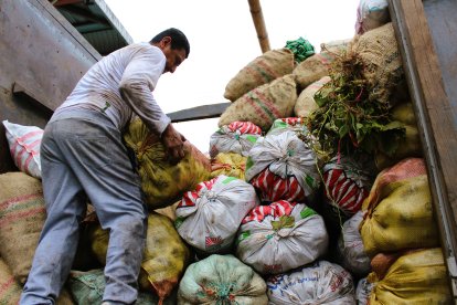 Un comerciante de la Sierra descarga sacos de papas de un camión, en el mercado de Esmeraldas.