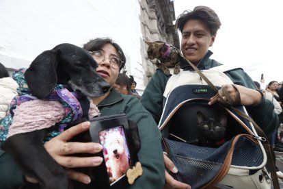 Una pareja llevó las cenizas de una de sus mascotas que murió hace un año.