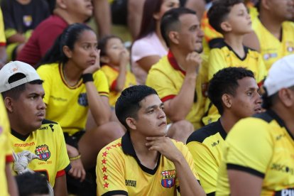 Barcelona SC vs. Independiente del Valle: crucial victoria para los Rayados en Guayaquil.