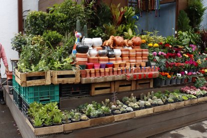 El puesto de Katherine fue vandalizado en el paro de 2022.