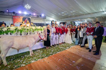 Entre los regalos se entregaron terneros, chanchos y harta comida.