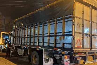 La mercadería era transportada en un camión que fue interceptado en la parroquia Tachina, en Esmeraldas.