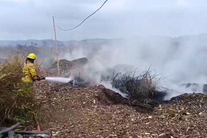 Bomberos trabajaban en el sector Casas Viejas.