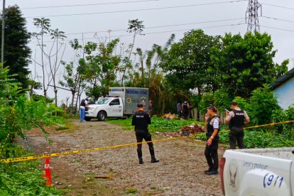 Los ocho cuerpos estaban apilados a un costado de un camino, en una zona con maleza.