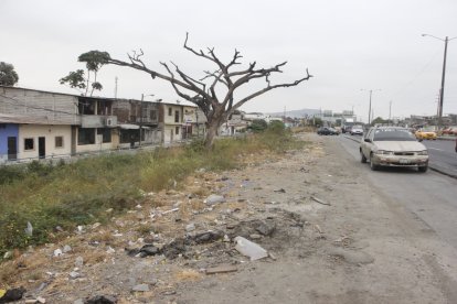 Agentes realizan el levantamiento de indicios.