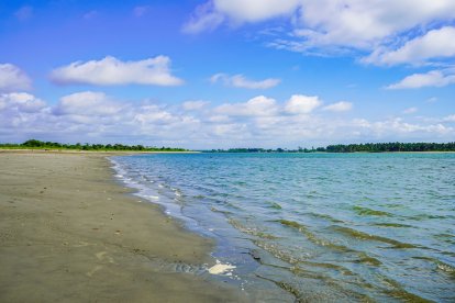 En Bunche puede disfrutar del mar y conocer los manglares.