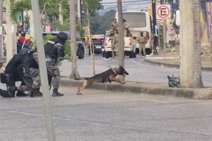 Perros que detectan explosivos se encuentran en inmediaciones al Mall del Norte para verificar un vehículo sospechoso.