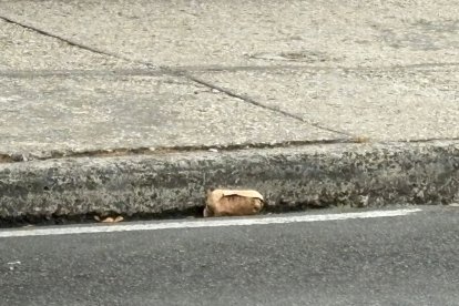 El objeto sospechoso estaba junto a una vereda.