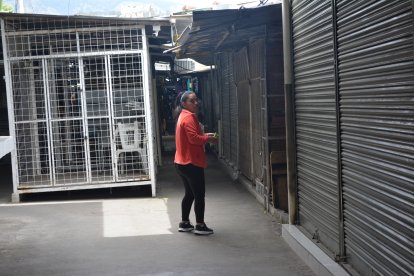 Durante el paro, el Mercado Ferroviario lució vacío y silencioso; este viernes se espera su reactivación.