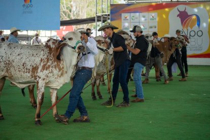 La feria ganadera tendrá varias novedades para esta cuarta edición. La diversión será para todas las edades