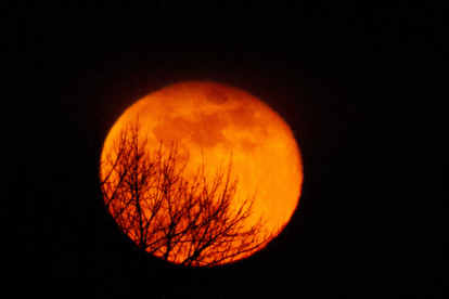La superluna de castor podrá verse desde Ecuador pasadas las 20:00