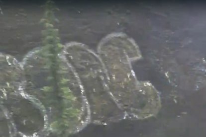 La víctima estaba maniatada con una tela blanca.