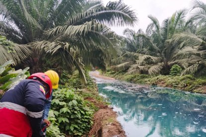 Un bombero inspecciona la zona donde se levantaron muros de contención para impedir el avance del hidrocarburo.