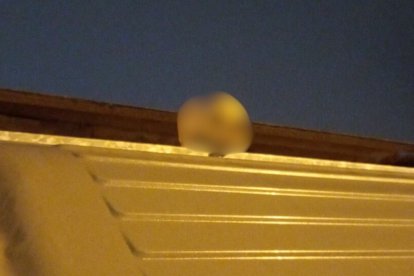 El cráneo estaba sobre este contenedor de basura en Calderón, norte de Quito.