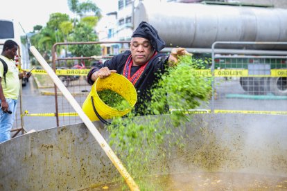 La chillangua, el orégano, la hiervita y el chirarán dieron al tapao su aroma inconfundible, evocando los sabores ancestrales de la cocina afroesmeraldeña.