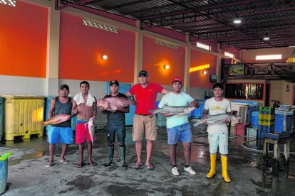 En temporada, por uno de 300 libras a filo de playa, se paga hasta 3,00 dólares por cada uno.
