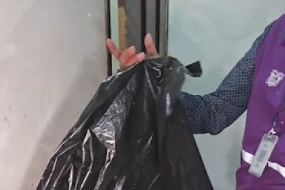 Pescados sazonados fueron cubiertos con fundas de basura, lo que habría roto la cadena de frío.