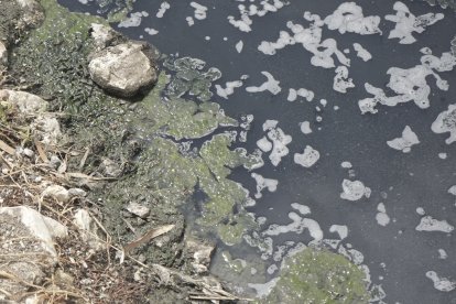 Una de las imágenes que compartió el presidente Noboa en sus redes sociales.