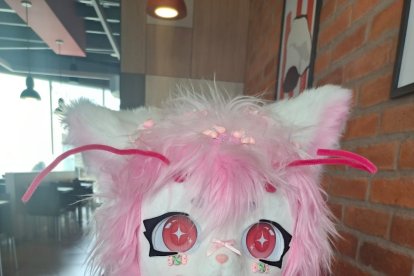 Unos 1.200 usuarios están activos en grupos de Facebook dedicados a la cultura furry y kemonomimi, la mayoría concentrados en Quito y Guayaquil.